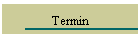 Termin