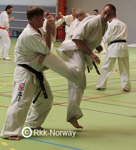 2014Danish_Camp (390) - Kopi