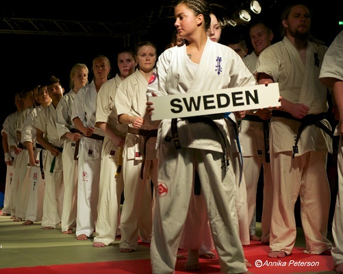 2014swe (3)