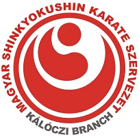 306974_279435422085637_516109113_n