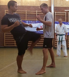 Fredrikstad_Shin_2014 (18) - Kopi
