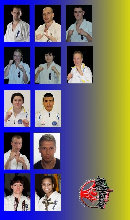 SWE_team_2014