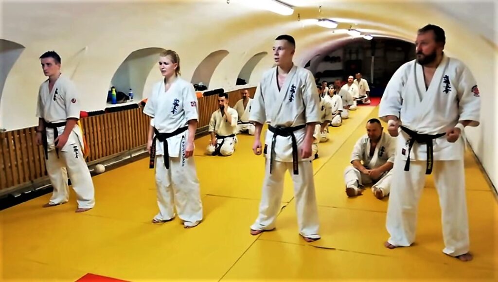 Gradering i Romania | ThunderWeb